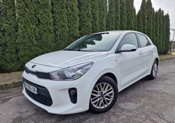 samochody osobowe Kia Rio cena 25900 przebieg: 83635, rok produkcji 2018 z Knurów